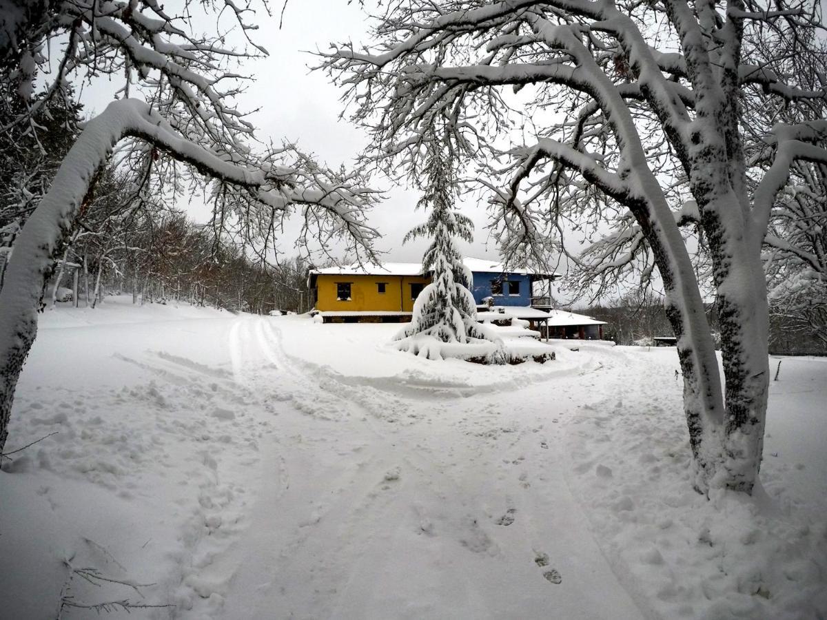 Agramada Bed & Breakfast Arnaía Dış mekan fotoğraf